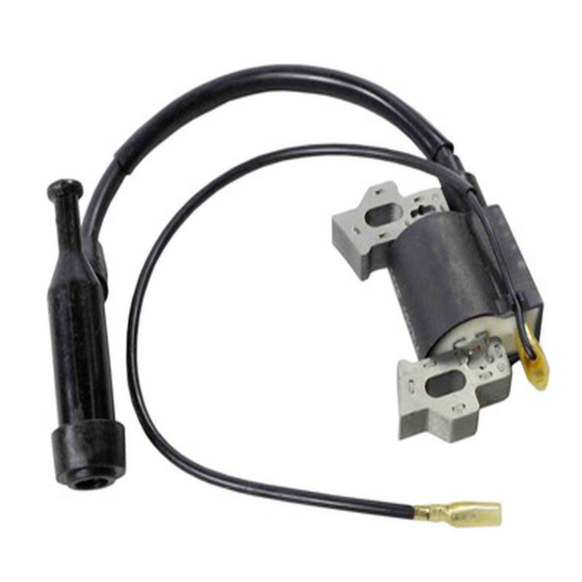 Coil Assy; Ignition